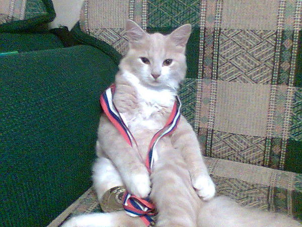 Неизвестно Неизвестно