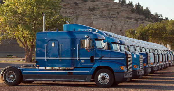 Тоо Skornyak (Скорняк)