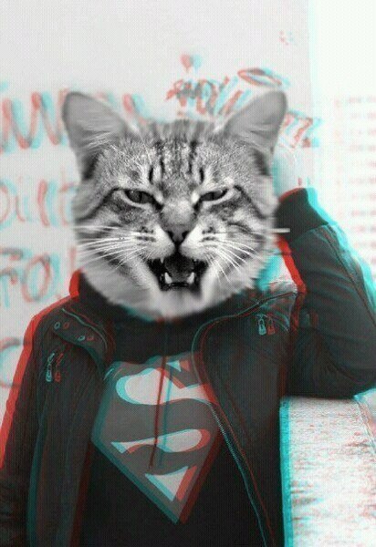 Лёха Раковец