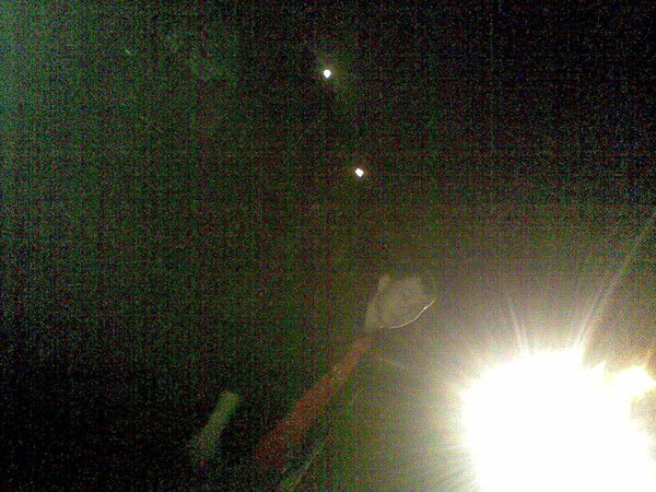 Arman Наурзалин