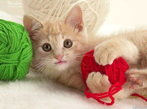 Наталья Афонасьева