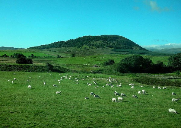 Михаил Петров