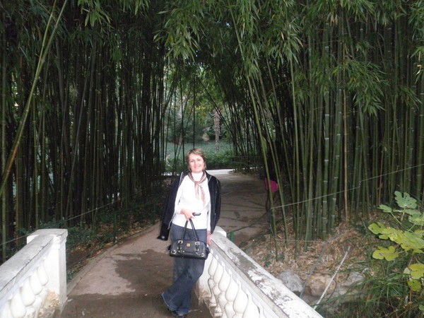 Елена Олимпиева(Кравченко)