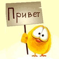 Татьяна Гринькова