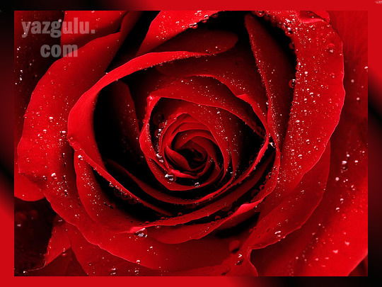 Жанна Джунусова