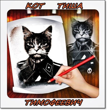 Кот Тиша Тимофееч