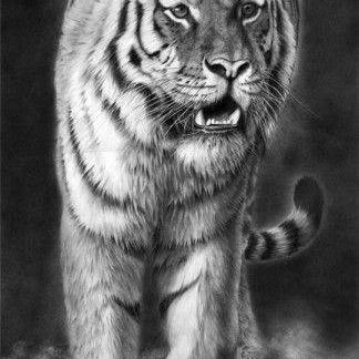 Павел Косенко