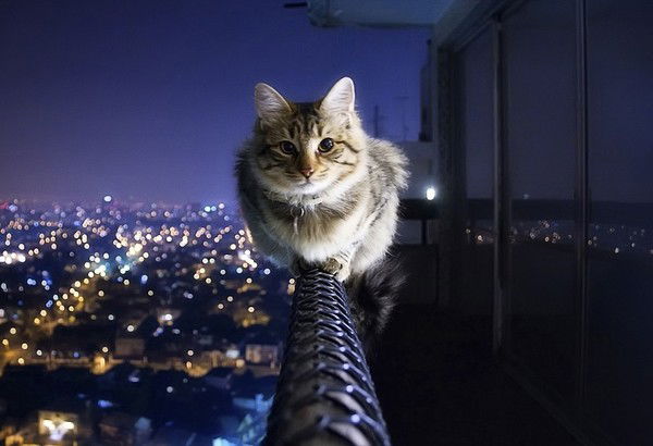 Антон Дубовский