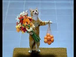 Зануда Редкая