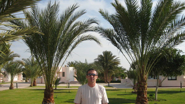 Бабаев Сеидмагомед