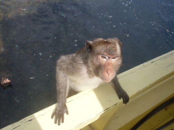 Александр Епифанцев