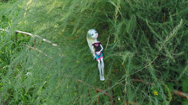 Дарья Комиссарова