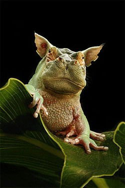 Татьяна Тюркина