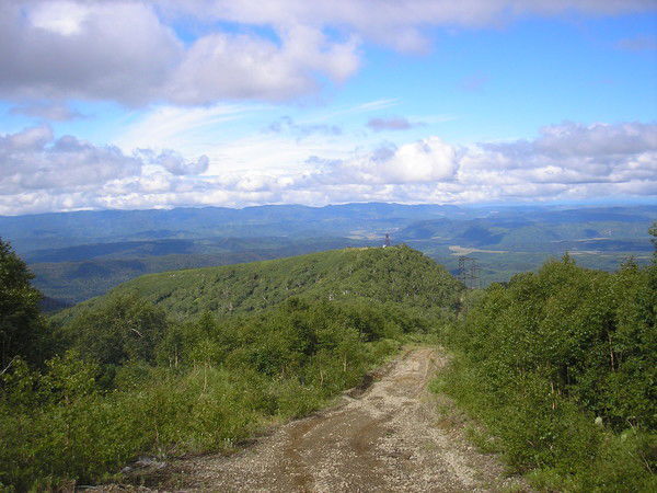 Илья Дружинин