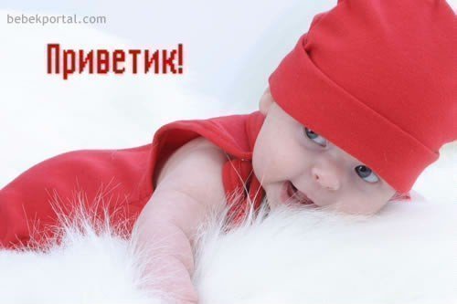 Анна Андреева