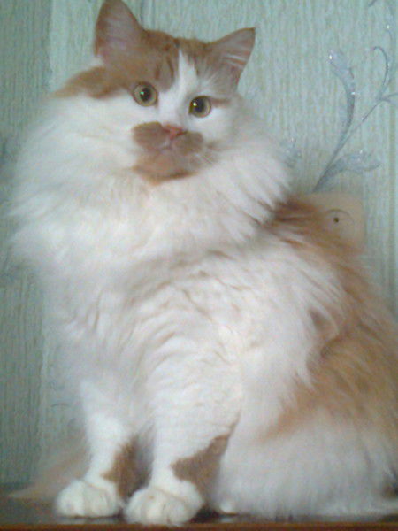 Мария Ивочкина