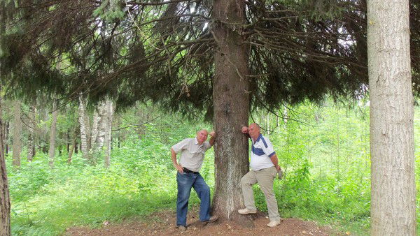 Владимир Москаленко