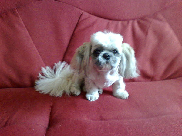 Раис Тагиров