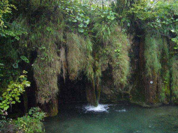 Светлана Попсуй