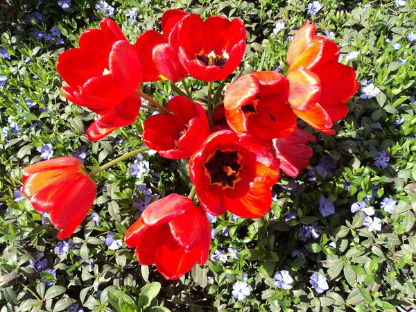 Аня Евсюкова