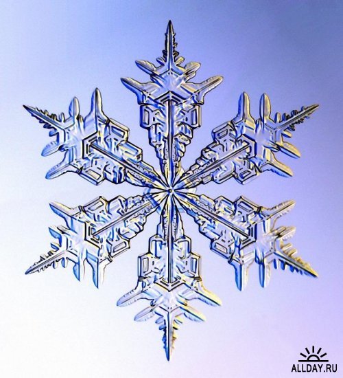 Олег Боровский