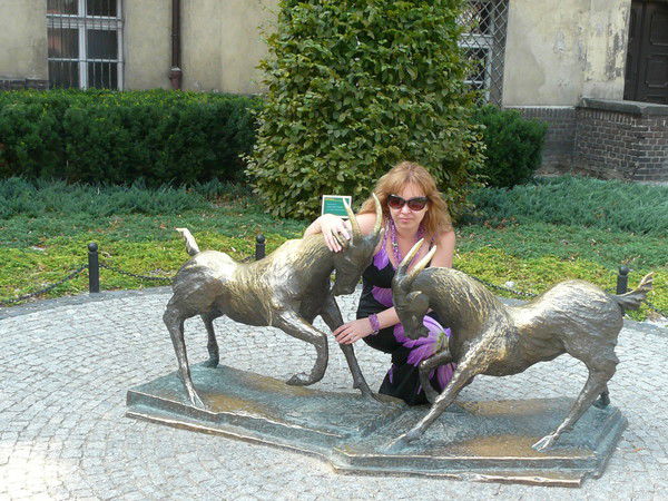 Ольга Стрелец