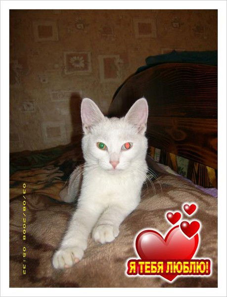 Сергей Квашнин