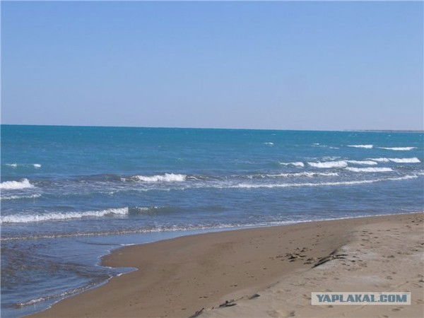 Гаухар Капиева