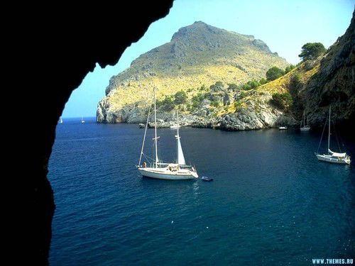 Анатолий Профатило