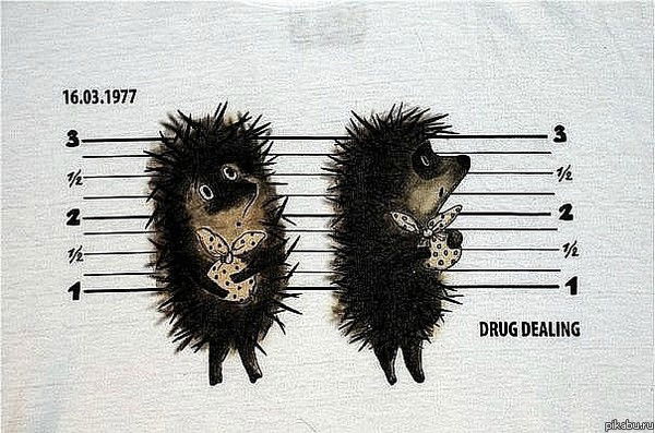 Денис Лунев