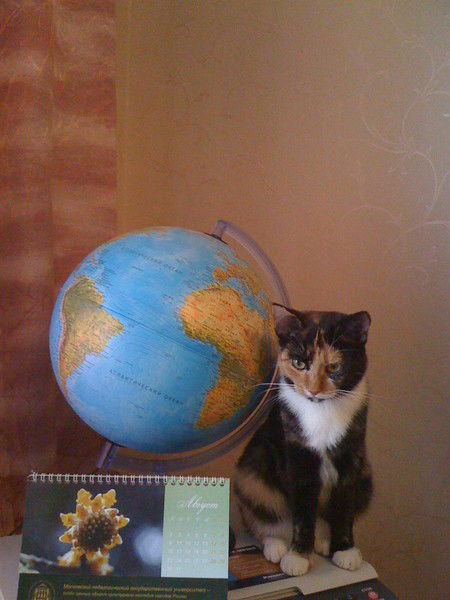 Наталья Грецкая