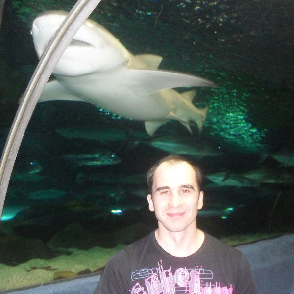 Александр Тесля