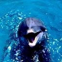 Сергей Назаров