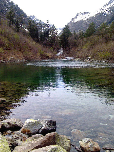 Наталья Федоровна