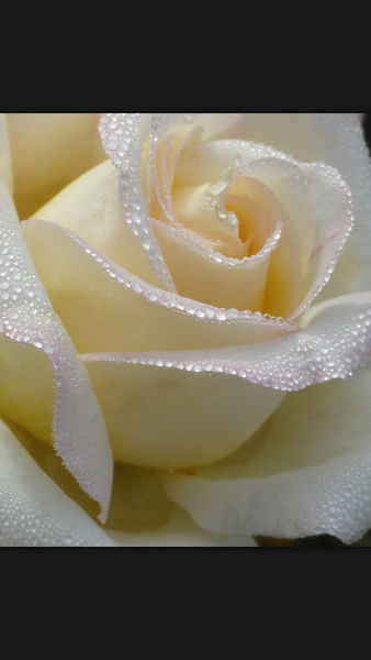 Асылтас Мейрамовна