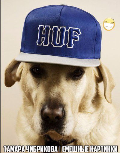 Тамара Чибрикова