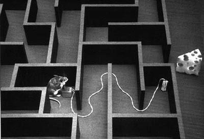 Людмила Ковтун