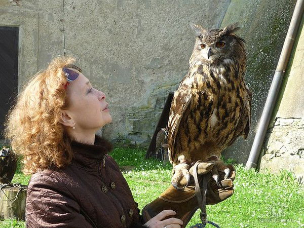 Елена Наумова