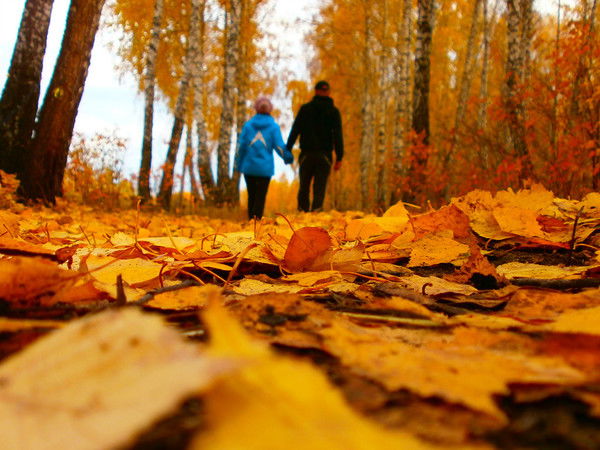 Роман И Наталья !!!