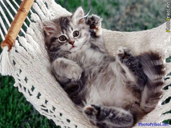 Оксана Батракова