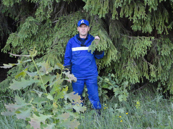 Владимир Лиховид