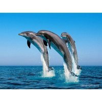 Ирина Куракина