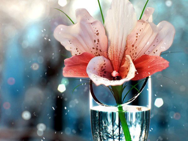 Светлана Климчук