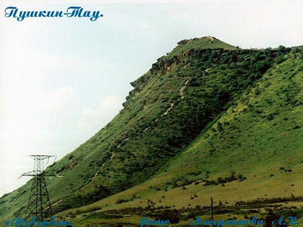 Идрис Магомедов