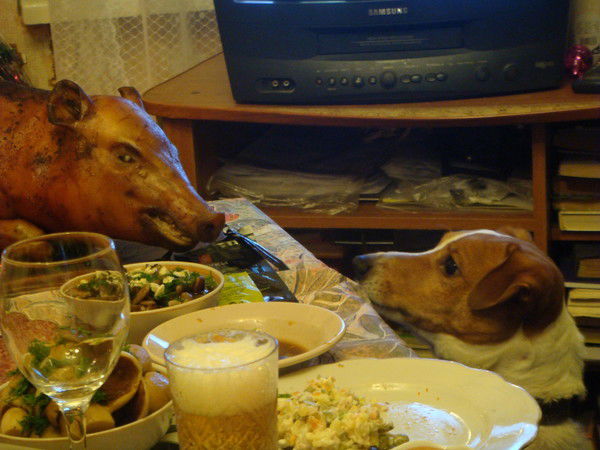 Милая Ненаглядная