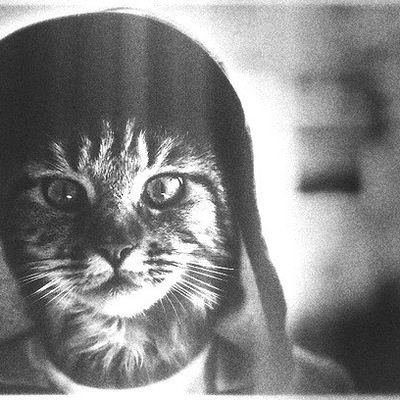 Светлана Каменских