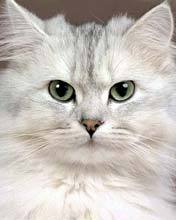 Литвинова Ольга