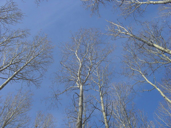 Татьяна Юдина