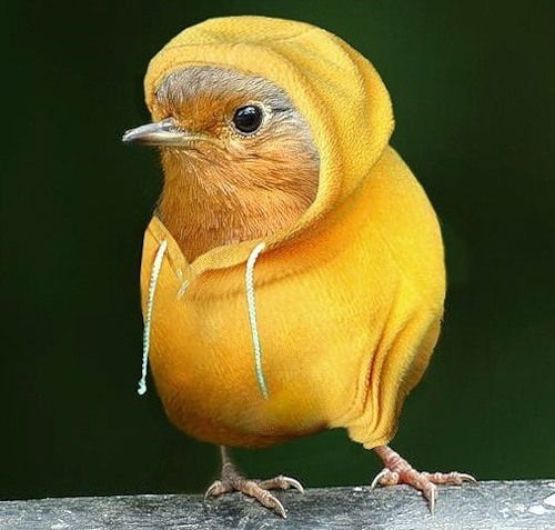 Галюня Шалимова (Корнеева)