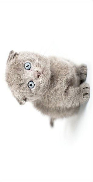 Татьяна Татьяна